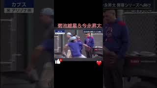 菊池雄星＆今永昇太 2025年キャンプ様相！😽#USA#MLB#mlb #菊池雄星#今永昇太 #屁圧