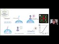 bioengineering cellular microenvironments with primo