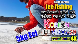 කොරියාවෙ අයිස් යට මාලු |Manjuwithsouthkorea|