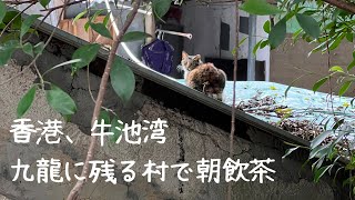 362 九龍の村で朝飲茶【香港・牛池湾】活気ある市場と猫たち