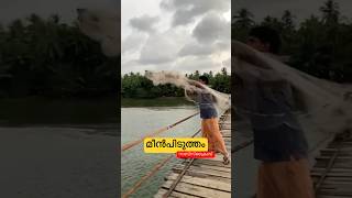 വലയിട്ട് മീൻപിടുത്തം ❤️❤️ FISH HUNT in KERALA #shorts travel fishes #fishes #animal lovers #YouTube