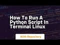 how to run a python script in terminal linux