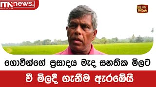 ගොවීන්ගේ ප්‍රසාදය මැද සහතික මිලට වී මිලදී ගැනීම ඇරඹේයි