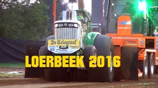 Superstocks - FULL CLASS @ Grand National Loerbeek 2016