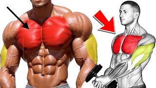 Best 7 Chest And Triceps Superset Workout