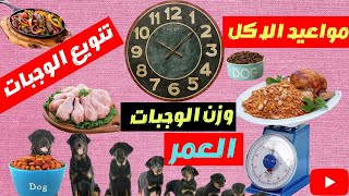 اسرار تغذيه الكلاب الصحيحه وازاي كلبك يبقه ضخم