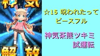 【白猫プロジェクト】☆15 呪われたってピースフル 神気茶熊ツキミ 試運転