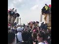 2018 新居浜太鼓祭り 川東地区‼️