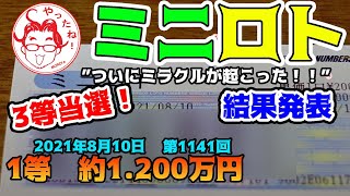 【ミニロト】　第1141回　ついにミラクルが起きて3等が当たりました！！　5口購入した結果を発表します　クイックピック