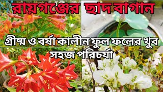 ছাদ বাগানে গ্রীষ্ম ও বর্ষা কালীন ফুল ফলের খুব সহজ পরিচর্যা।।#raiganj_uttardinajpur  #youtube