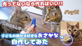 手作りおもちゃを与えたら野生化するルトとスカしているロゼ