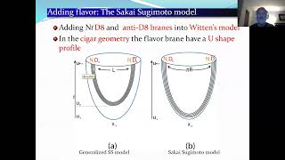 J. Sonnenschein: The HISH Model: Spectra, Decay Processes, Exotic Hadrons and Scattering Amplitudes