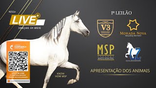 Live de Apresentação dos Animais do I Leilão Haras V3, Morada Nova, MSP e LZ