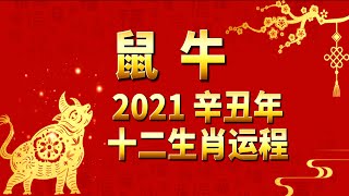 2021辛丑年 十二生肖运程｜鼠牛