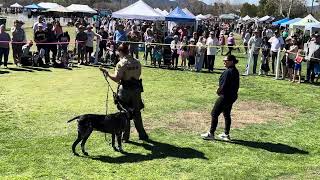 Narcotics  Detection Dog demonstration at annual Fido Fest.