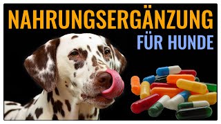 Zusatzstoffe und Futterwechsel - Fragen zum Thema Ernährung beim Hund - TGH 406