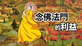 念佛法門的利益｜淨宗法師文章