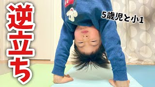 【マット運動】逆立ち！元体操選手 パパ先生の体操教室！倒立の練習小学1年生と5歳児【体育】