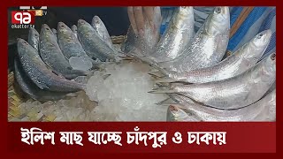 লক্ষ্মীপুরে বাজারে ইলিশ কম, দাম বেশি | Laxmipur | News | Ekattor TV