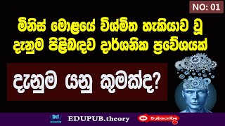 දැනුම යනු කුමක්ද? / What is knowledge?