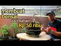 Membuat Bonsai Dari Bahan Sederhana