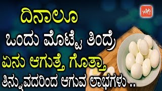 ದಿನಾಲೂ ಒಂದು ಮೊಟ್ಟೆ ತಿಂದ್ರೆ ಏನು ಆಗುತ್ತೆ ಗೊತ್ತಾ ತಿನ್ನುವದರಿಂದ ಆಗುವ ಲಾಭಗಳು .. | YOYO TV Kannada Health