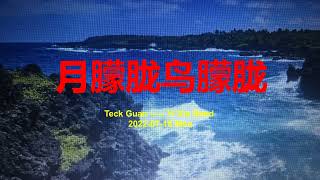 月朦胧鸟朦胧 ------ Teck Guan ------ Yi Xiu Band ------ Eb