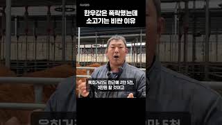 소값은 폭락하는데 소고기는 비싼이유 #소값 #한우 #shorts