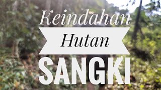 Keindahan Hutan Sangki (Kebon) Part 2