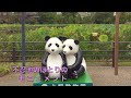 上野動物園 開園140周年