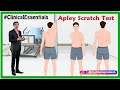 Apley Scratch Test : Evaluation of the Painful Shoulder - Clinical essentials