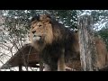 大牟田動物園の動物に会いに！