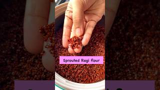 👩‍🍳 Homemade sprouted Ragi flour 🥣 Can be used to make Ragi porridge, Ragi idli etc #shorts #meal