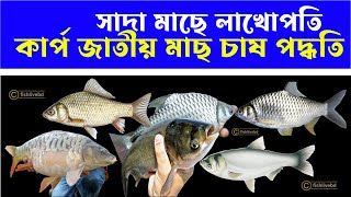 কার্প জাতীয় মাছের মিশ্র চাষ পদ্ধতি || কার্প জাতীয় মাছ চাষের আধুনিক কৌশল ও পুকুর ব্যবস্থাপনা ||