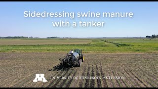 Sidedressing manure - 2020 Update