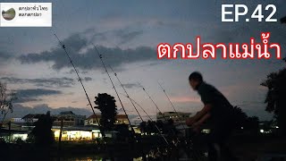 EP. 42 ตกปลาแม่น้ำปิงเชียงใหม่