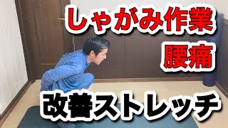 【腰痛解消】しゃがみ姿勢の腰痛を改善する6分ストレッチ