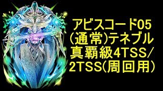 【黒猫のウィズ】テネブル 真覇級 4TSS/2TSS(周回用)【Abyss Code 05(アビスコード) 】