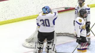 HS HOCKEY GREATLAND STATE TITLE GAME HOUSTON VS MONROE 02 13 2016