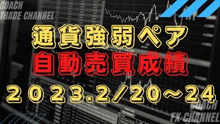 【FX】通貨強弱ペアのインジケーターをEA（自動売買化）成績発表！2023.2/20～2/24まで