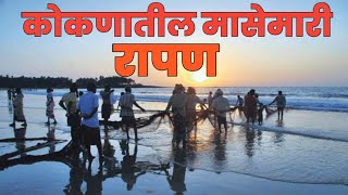 कोकणातील पारंपारीक मासेमारी | Rapan | koknatil_masemari | #konkan #kelshibeach