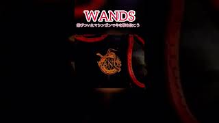 第3期WANDS cm【錆びついたマシンガンで今を撃ち抜こう】#wands ＃ドラゴンボールgt #上杉昇 #上原大史