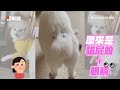 母子睡前溫馨告白💕兒突放「大響屁」破壞氣氛 furious fart ruins the moment｜親子｜搞笑