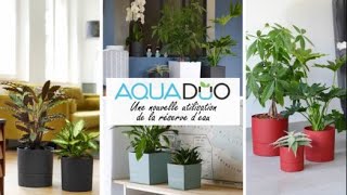 EDA - AQUADUO Mise en place