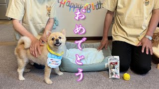 【祝】愛犬の誕生日を、実家の両親と一緒にお祝いしました！