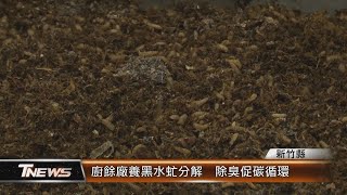 廚餘廠養黑水虻分解  除臭促碳循環│T-NEWS聯播網