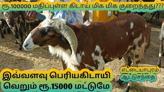 ரூ.1லட்சம் மதிப்பு உள்ள பொட்டுகிடாய் வெறும் 15000 விற்கபட்டது ஏன்?? | எட்டையபுரம் ஆட்டு சந்தை