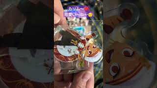 【ツイステ】アクリルスタンドコレクショングリヒルアートver開封