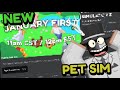 NEW PET SIMULATOR Z FROM BIG GAMES?!