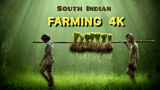 A small documentary about monsoon farming🌾|| #karthanandam ||#jabardasth |#telugu #actor #vidhathag